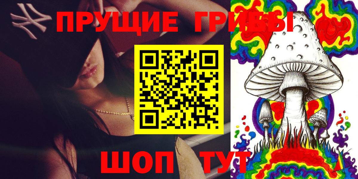 Галлюциногенные грибы Cubensis Гурьевск