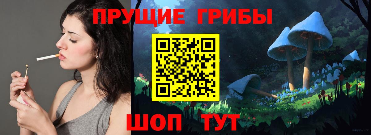 Псилоцибиновые грибы мухоморы  Вход с VPN  Псилоцибиновые грибы мицелий  что такое наркотик  Гурьевск 